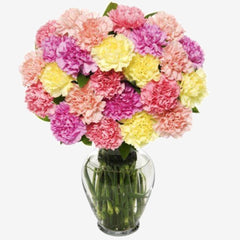 Carnations