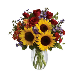 Sunflowers