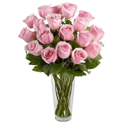 12 Pink Roses