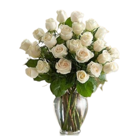 Two Dozen White Roses