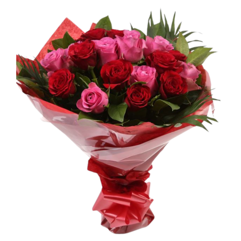 1 doz pink and red roses