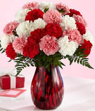 TWO DOZEN CARNATIONS