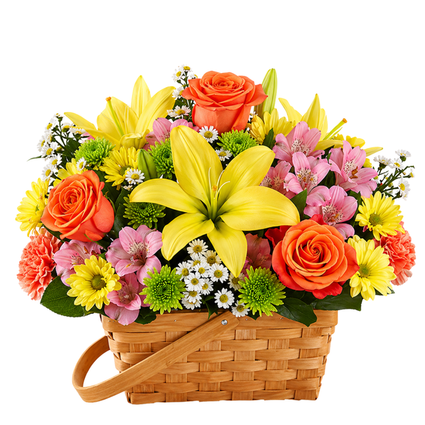 Sending Joy