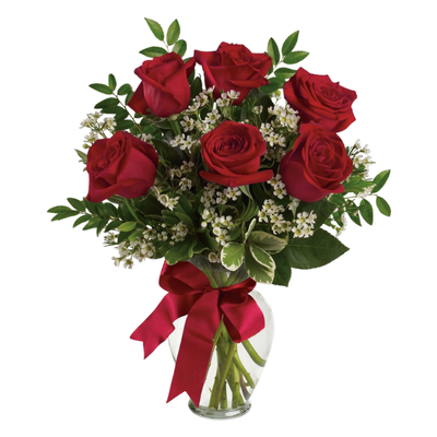 6 Red Roses