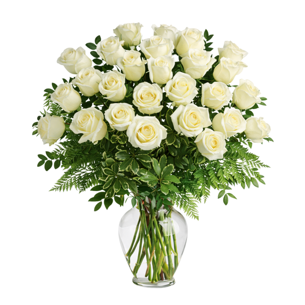 Two Dozen White Roses