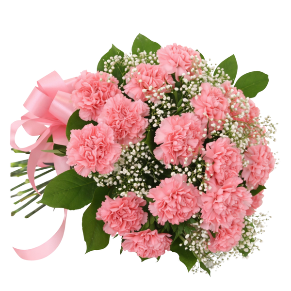 18 Pink Carnations Bouquet