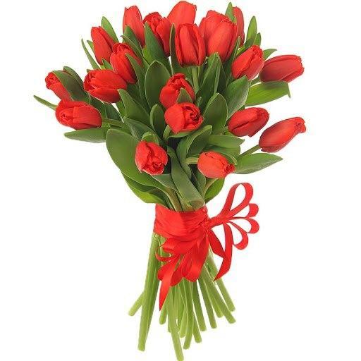 Red tulips (20 stems wrapped)