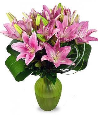 Pretty Pink Lilies